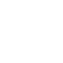 Rio 2016